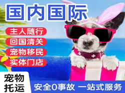 路桥航空快运国际宠物托运 【国